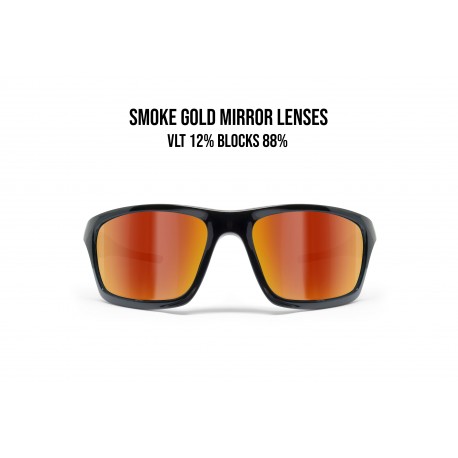 Motorcycle Sunglasses OMEGA 01